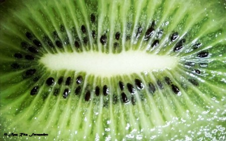 ANA RITA FERNANDES - EXIF: não disponível